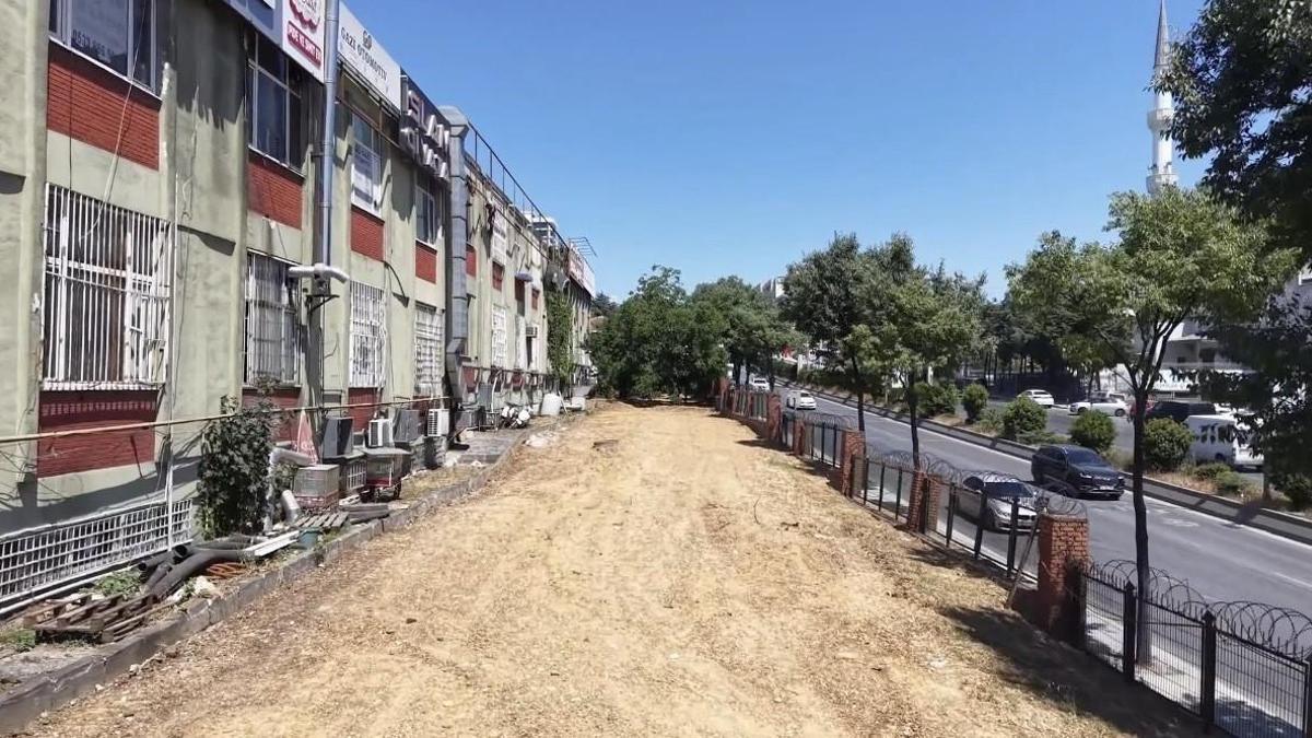 Başakşehir'de otopark için ağaçlar kesildi iddiası