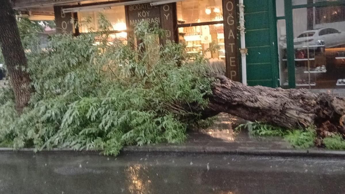 Kars’ta sağanak ve fırtına; yollar göle döndü, ağaç devrildi