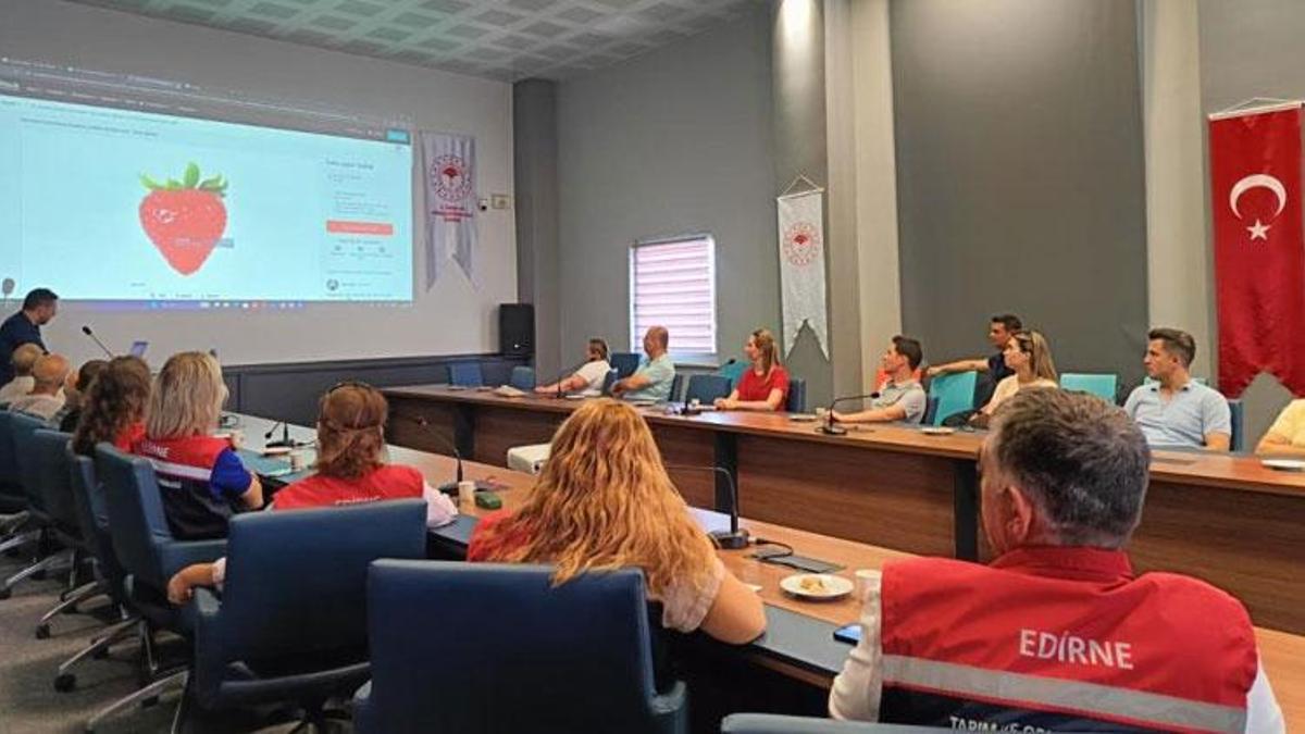 Yerel sera sebze üreticileri dijital pazara hazırlanıyor