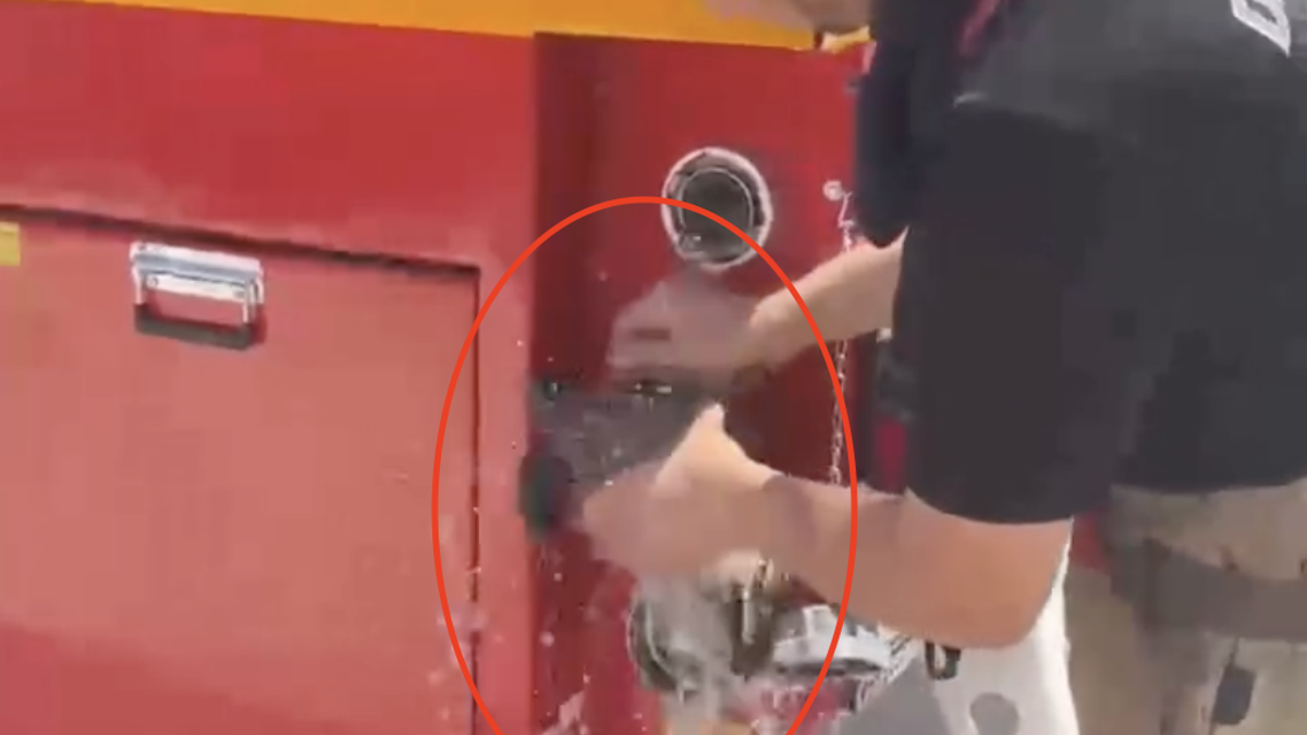 Anız yangınında kaplumbağayı itfaiye kurtardı