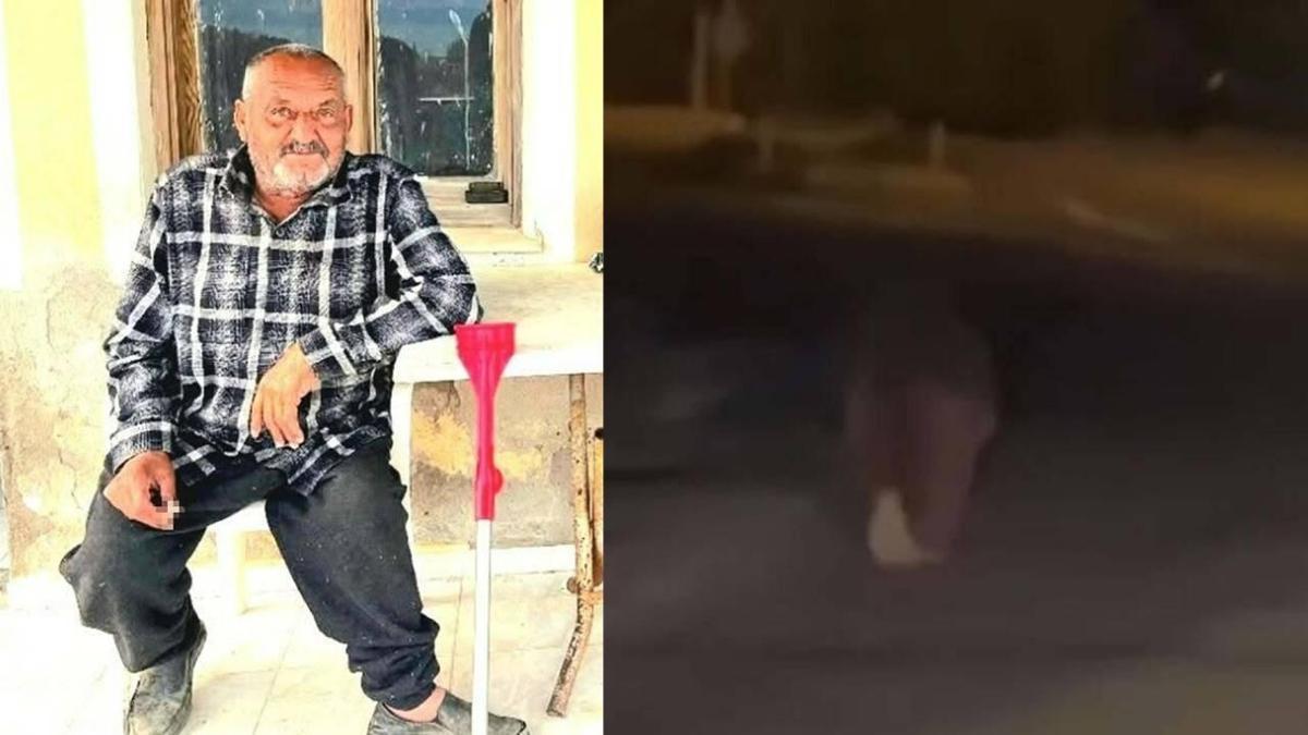 İzmir'de balkonda uyuyan kişiye saldırıp öldüren ayı vuruldu