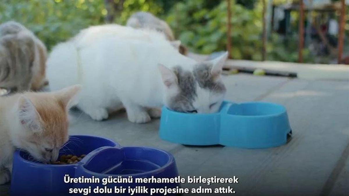 AOSB'den örnek proje: Fabrikaların gıda atıkları can dostlara umut oluyor!