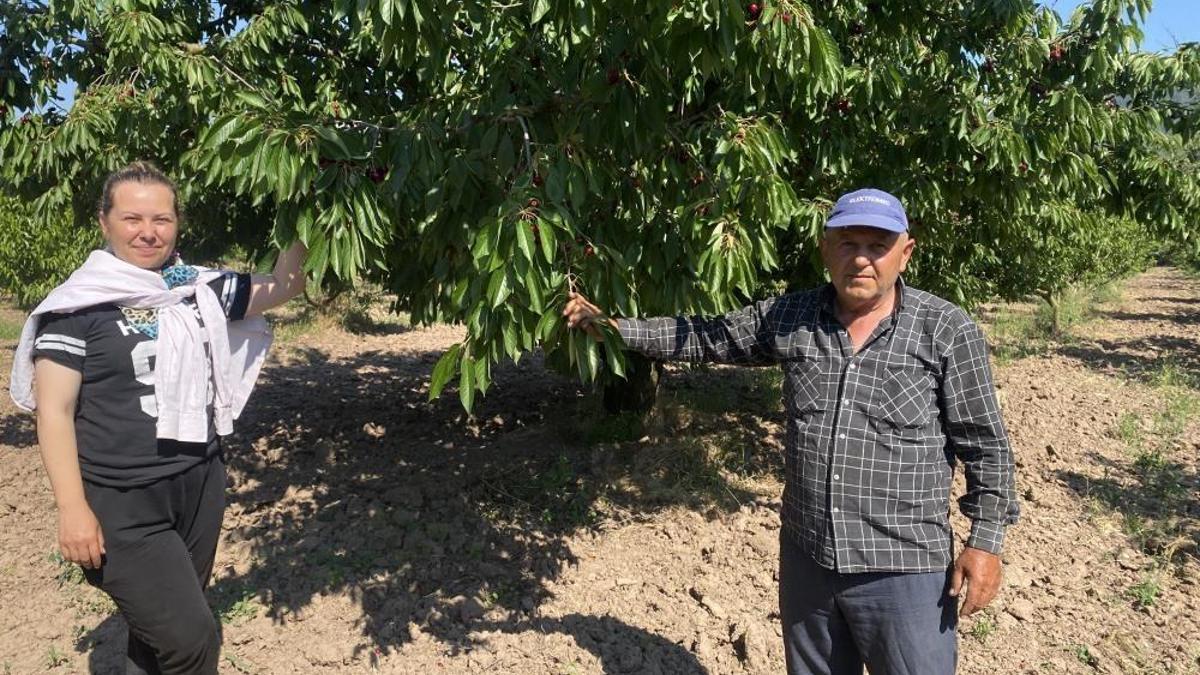 Hasatta sona yaklaşıldı! Yazın en sevilen meyvesi 60 liradan 250 liraya çıkıyor