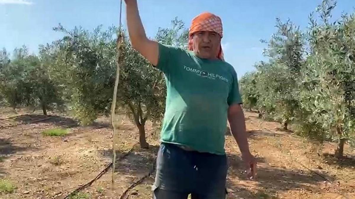 'Yılanı öldürdüm' deyip video çektirdi! 22 bin TL ceza yemekten kaçamadı