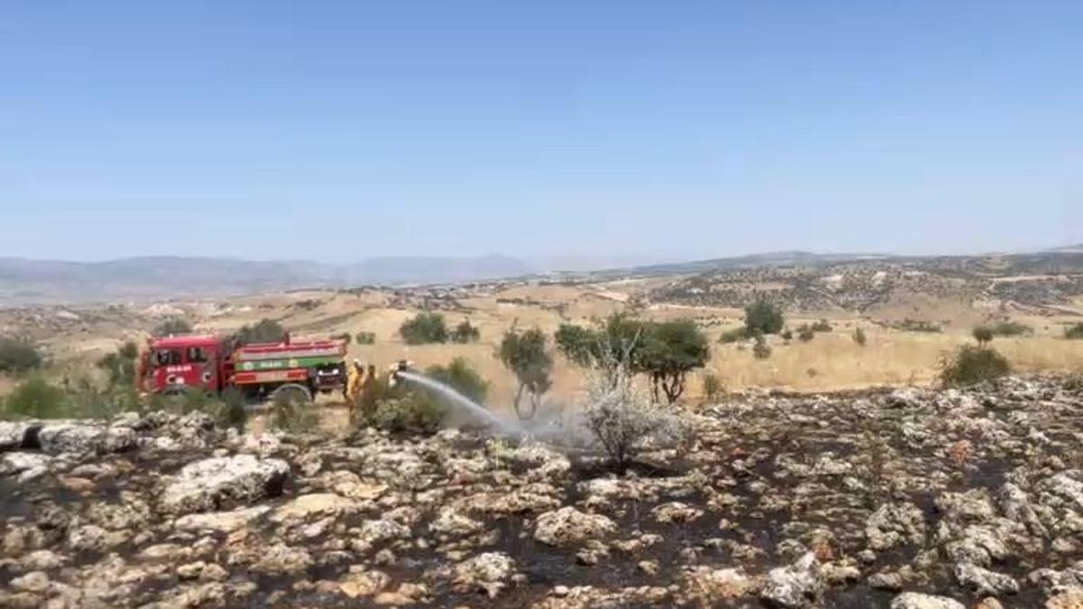 Diyarbakır'ın 2 ilçesinde çıkan yangında 270 dönümlük alan yandı
