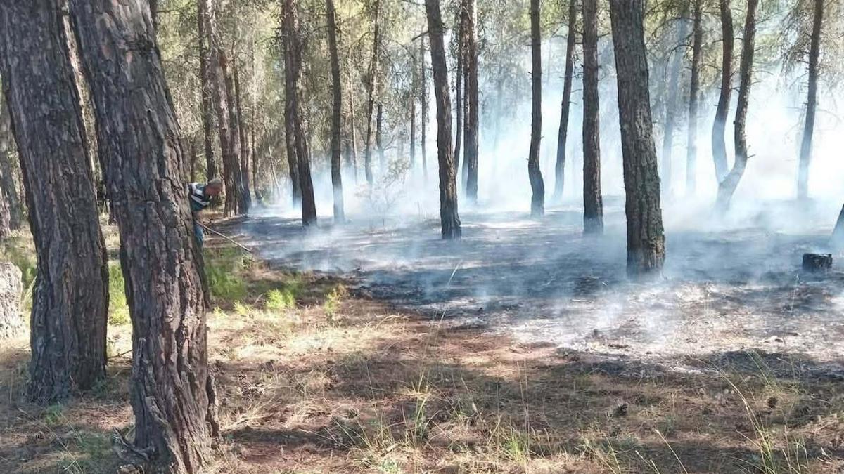 Kütahya’da orman yangını