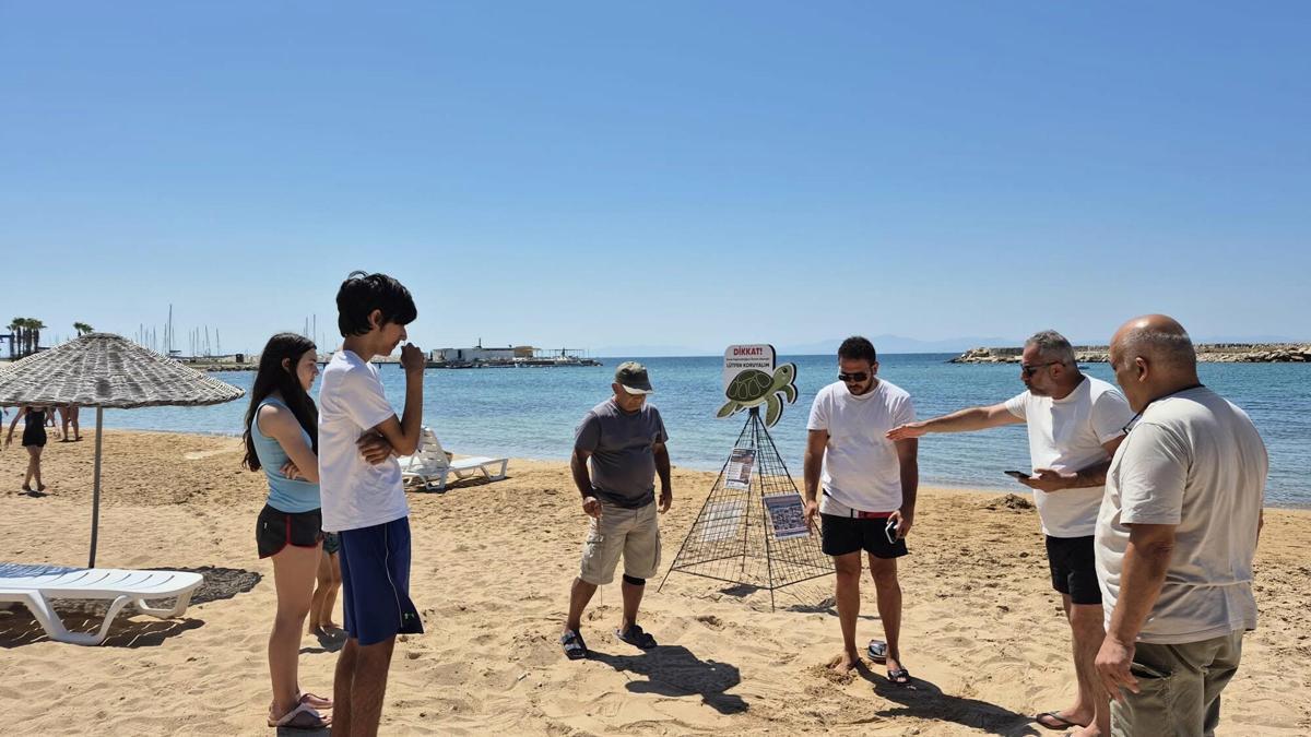 Didim Parlamenterler Sitesi kumsalında ikinci caretta caretta yuvası bulundu