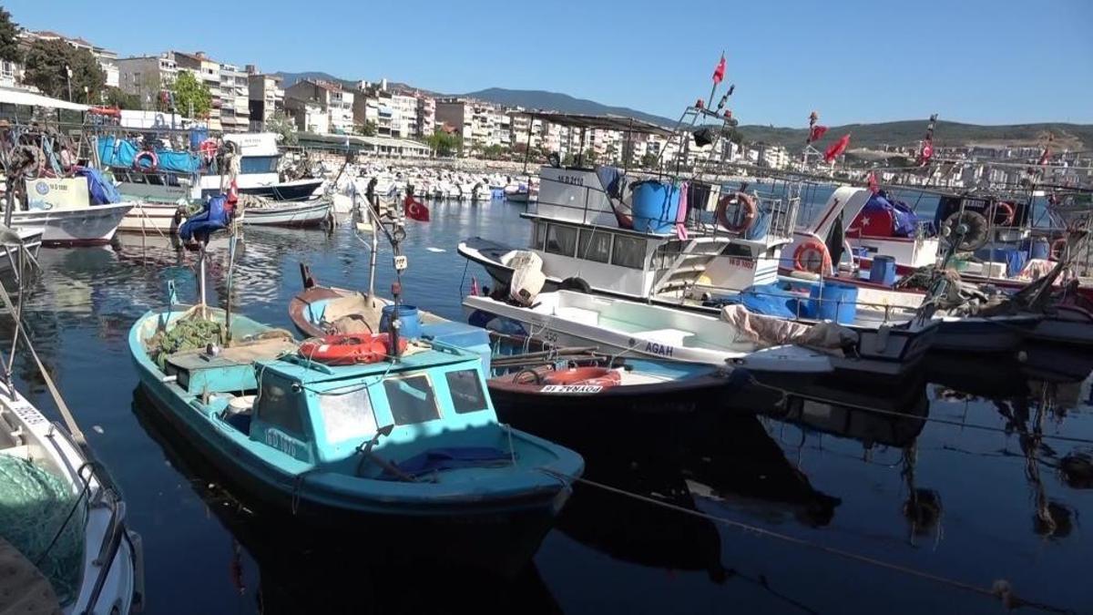 Marmara'nın emektar balıkçılarının 2 sorunu var! Kalıcı çözüm arıyorlar