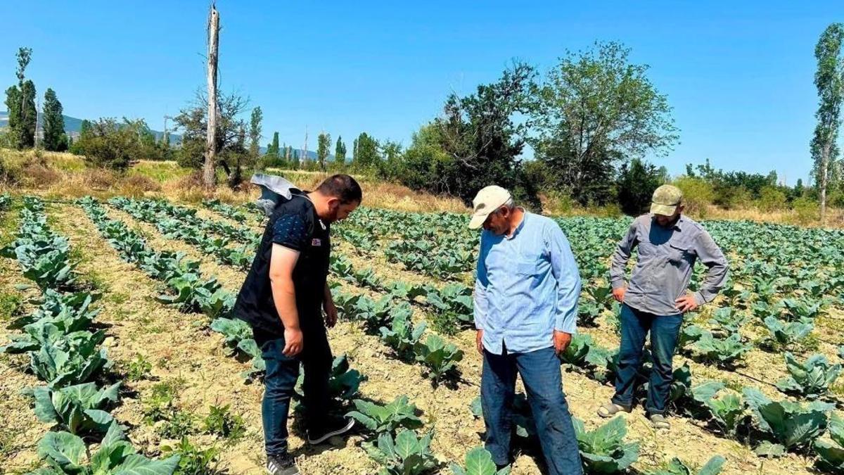Afyon'da sebze üretimi için tarihi önlem: Üretim alanlarında başlatıldı