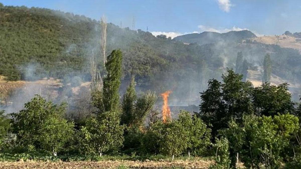 Çorum’da orman yangını çıktı ekiplerin müdahalesi sürüyor