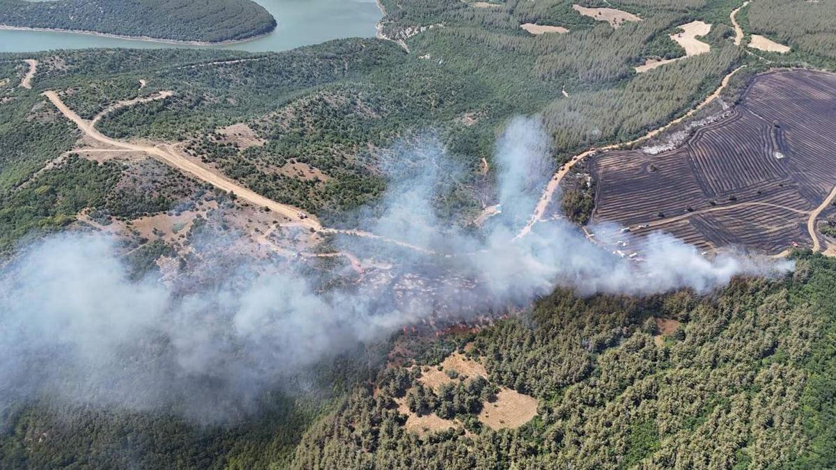 Tekirdağ'da anız yangınında alevler, ormana sıçradı