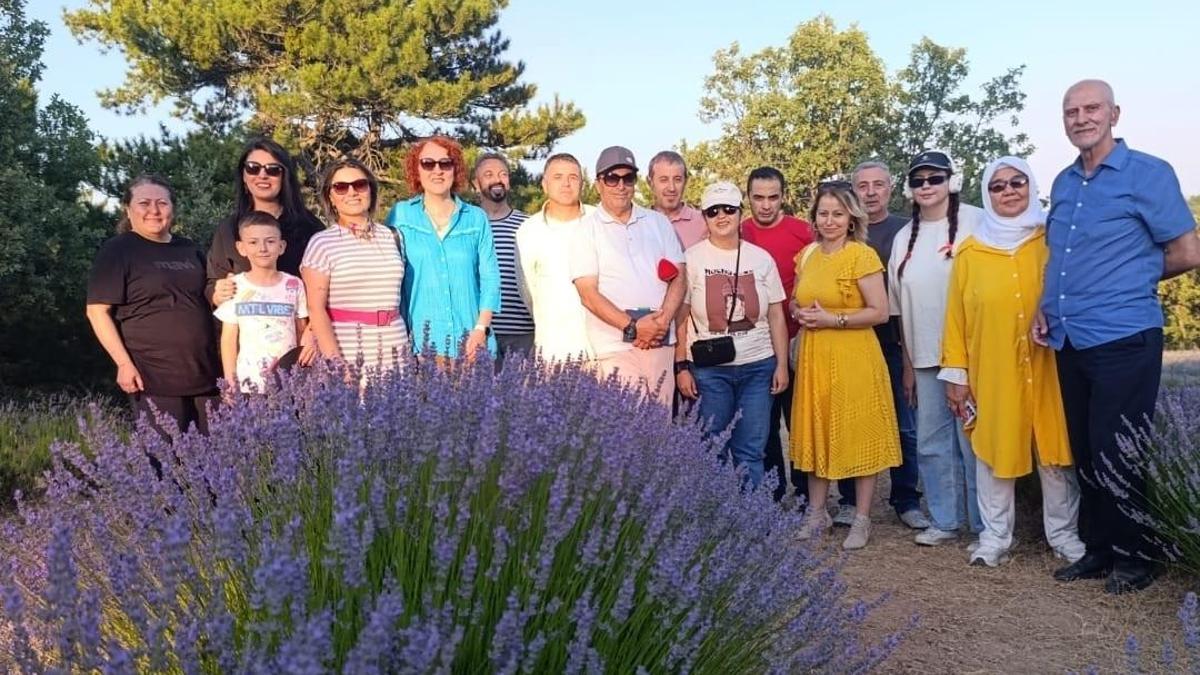 Nallıhan'daki lavanta bahçesi misafirlerini ağırlıyor