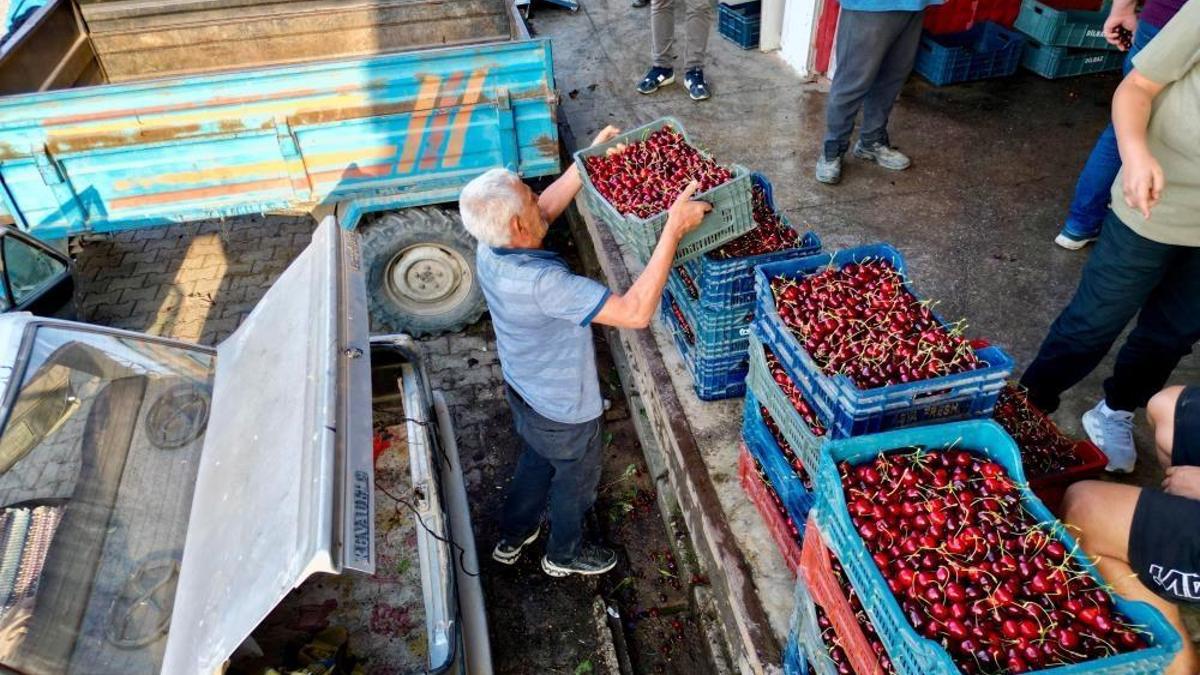 Afyon'dan çıkıyor, dünya sofralarını süslüyor
