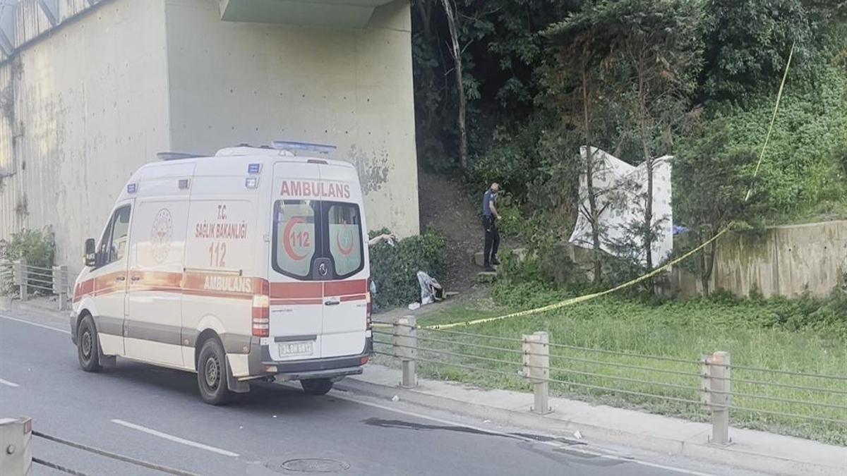 Yol kenarında cesedi bulundu, 46 ayrı suç kaydı çıktı!
