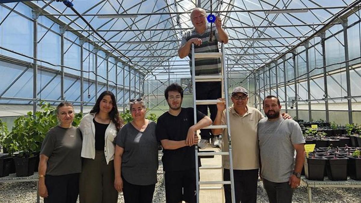 Samsun'da ilk kez İHA ile yapıldı! Bafra Sera OSB'ye örnek olacak: Trüf mantarı fidanlarına gökten koruma!