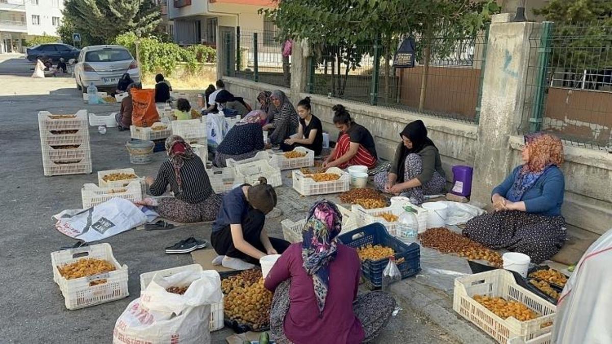 Malatya'da kasa başına 150 TL kazanıyorlardı: Ceza kapılarına kadar geldi