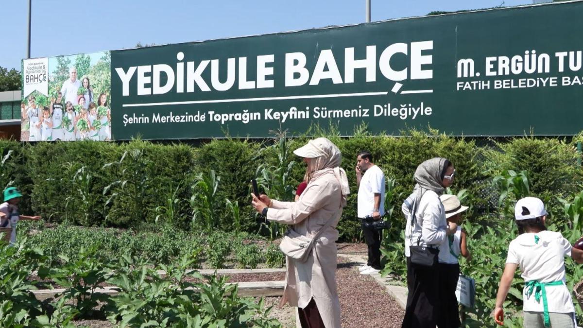 Yedikule Bahçe’de çocuklar meyve ve sebze hasadı yaptı
