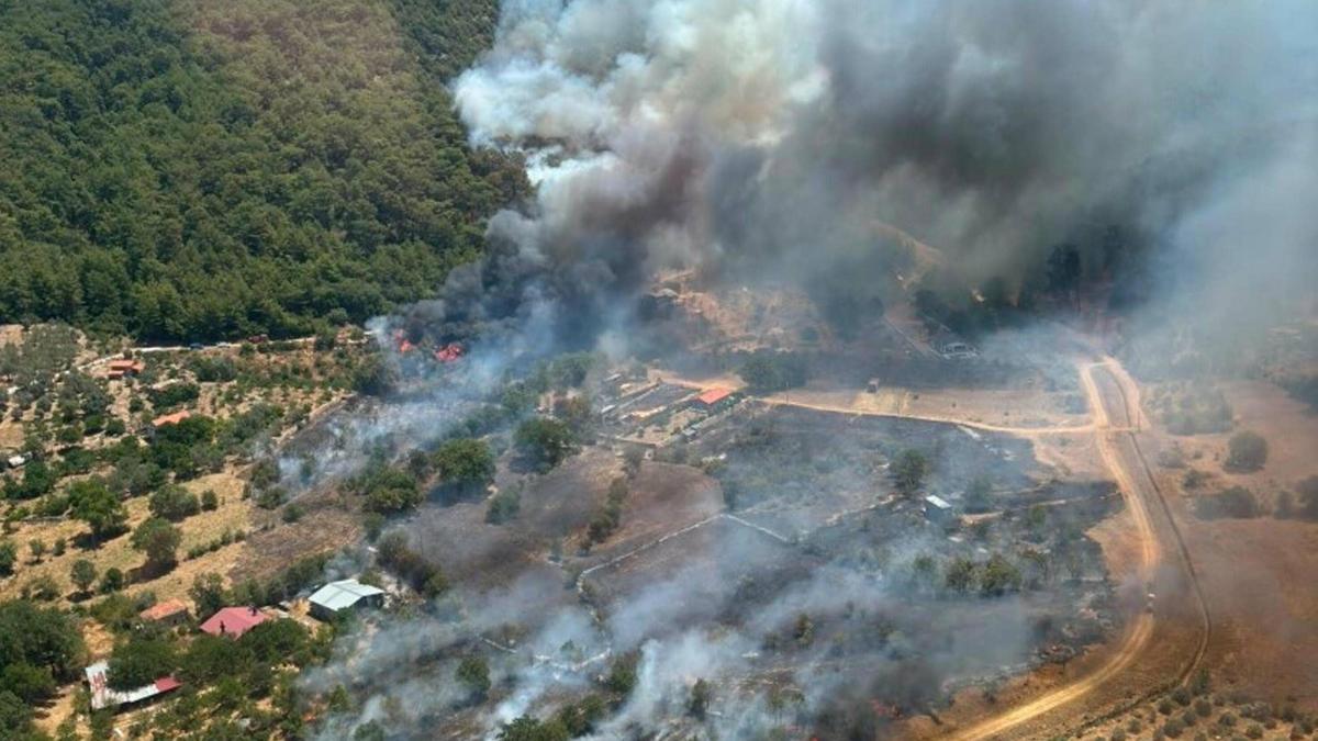 Muğla'da orman yangını