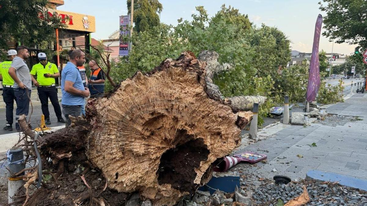 İstanbul’da kısa süreli etkili olan fırtına hasara yol açtı