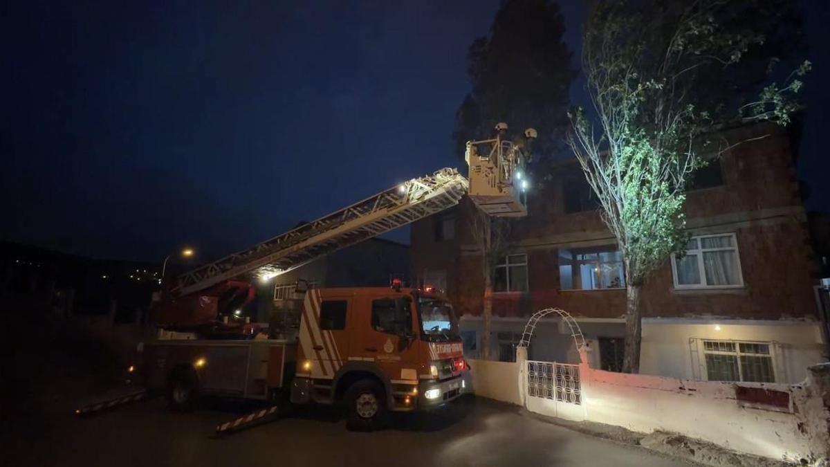 Maltepe'de fırtına nedeniyle dalları kırılan ağaç 2 katlı binaya yaslandı
