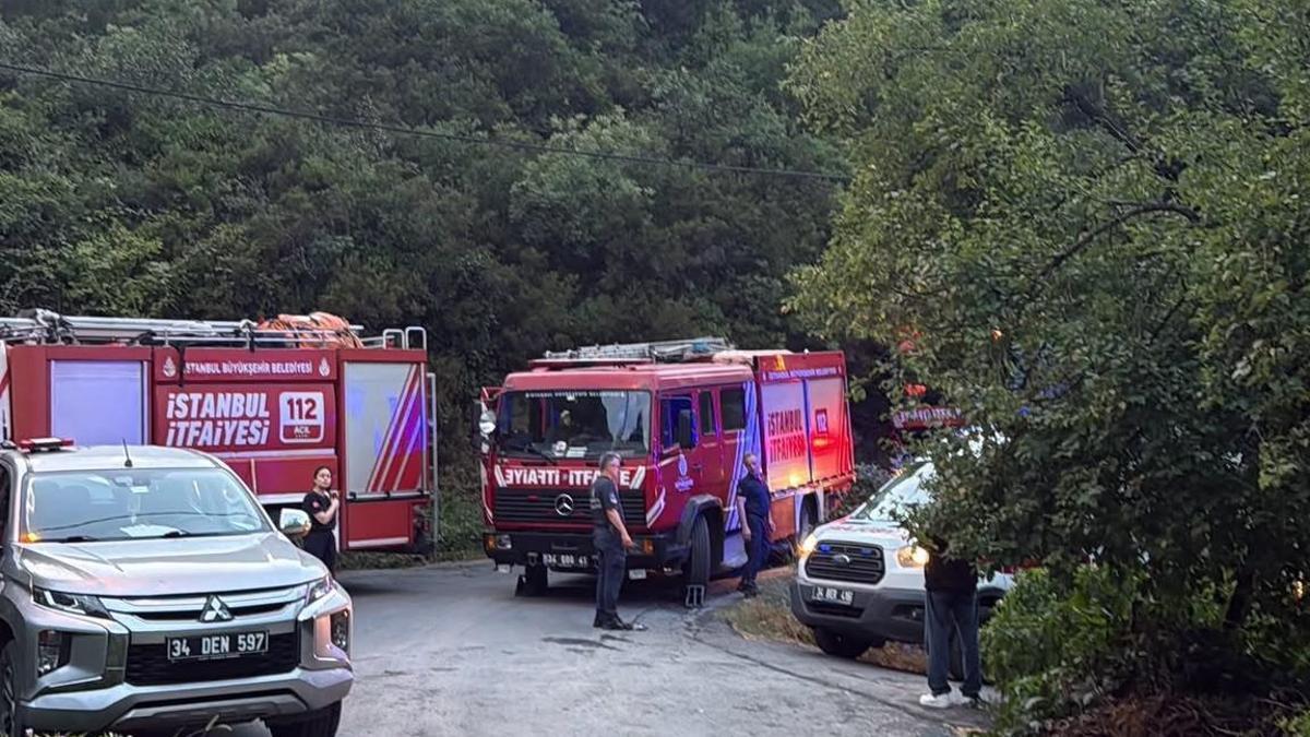Sarıyer'de ormanda çıkan yangında 1 itfaiye eri yaralandı