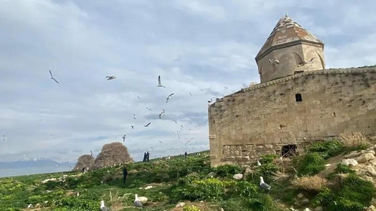 Van Gölü'nün ortasında kaderine terk edildi: İkinci bir Yaşar Kemal gerekiyor