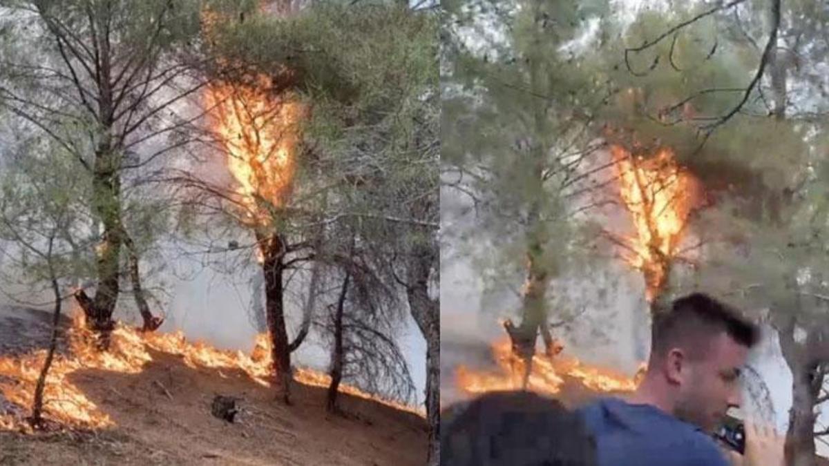 Kırsal alanda çıkan orman yangını kontrol altına alındı