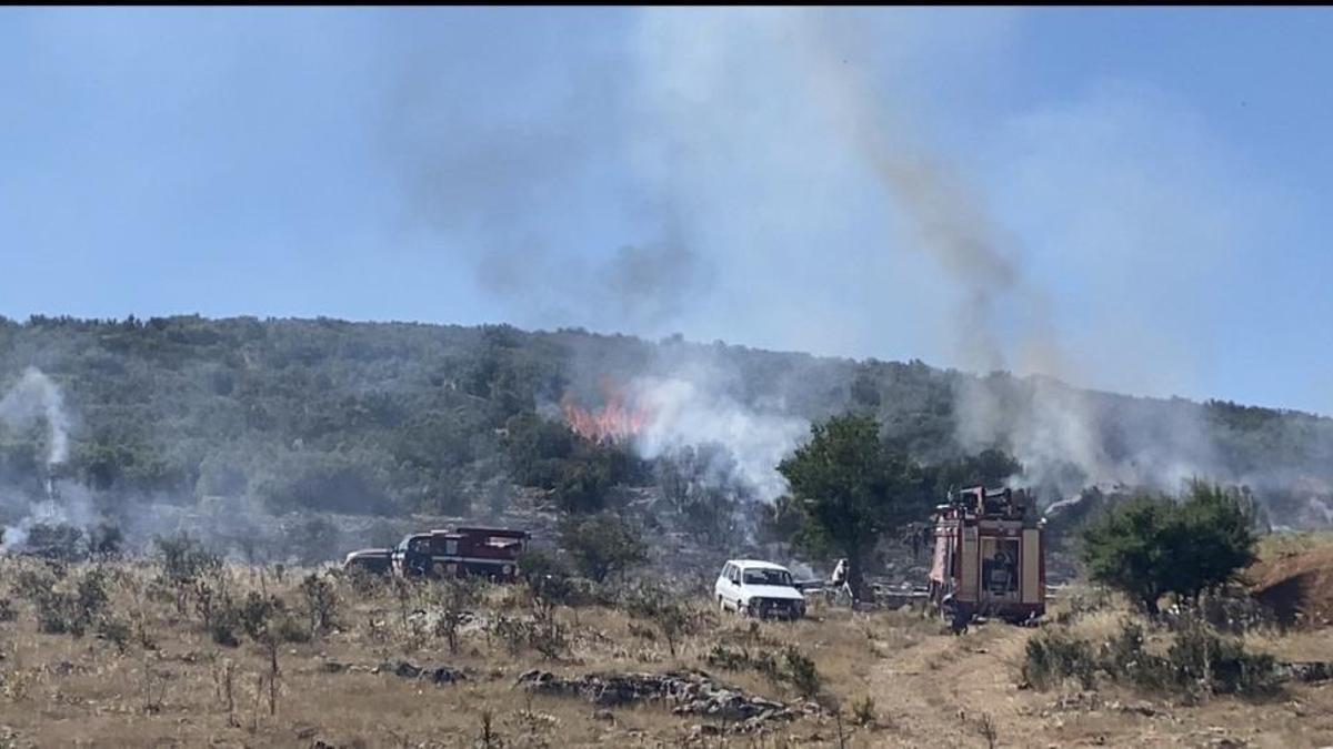 Denizli'de arıcının tütsüsü ormanı yaktı! Ekipler arıların saldırısına uğradı