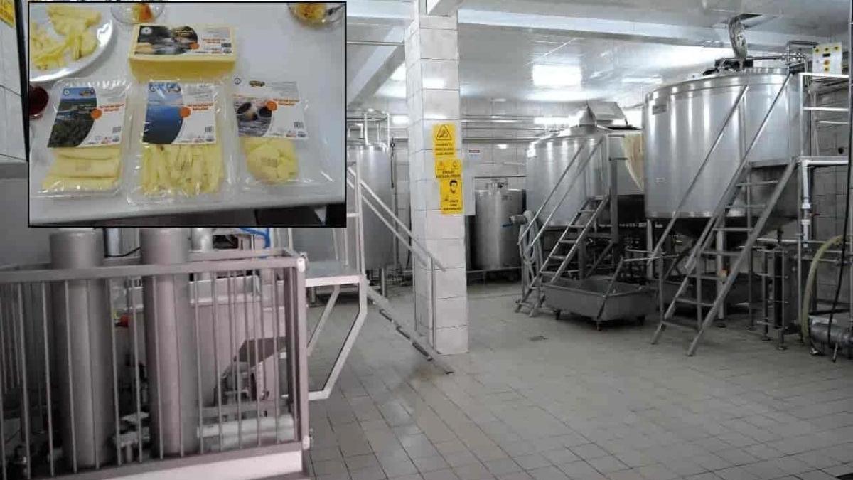 Günlük 5 ton üretimi var Eskişehir'deki tesiste hayaller gerçek oldu