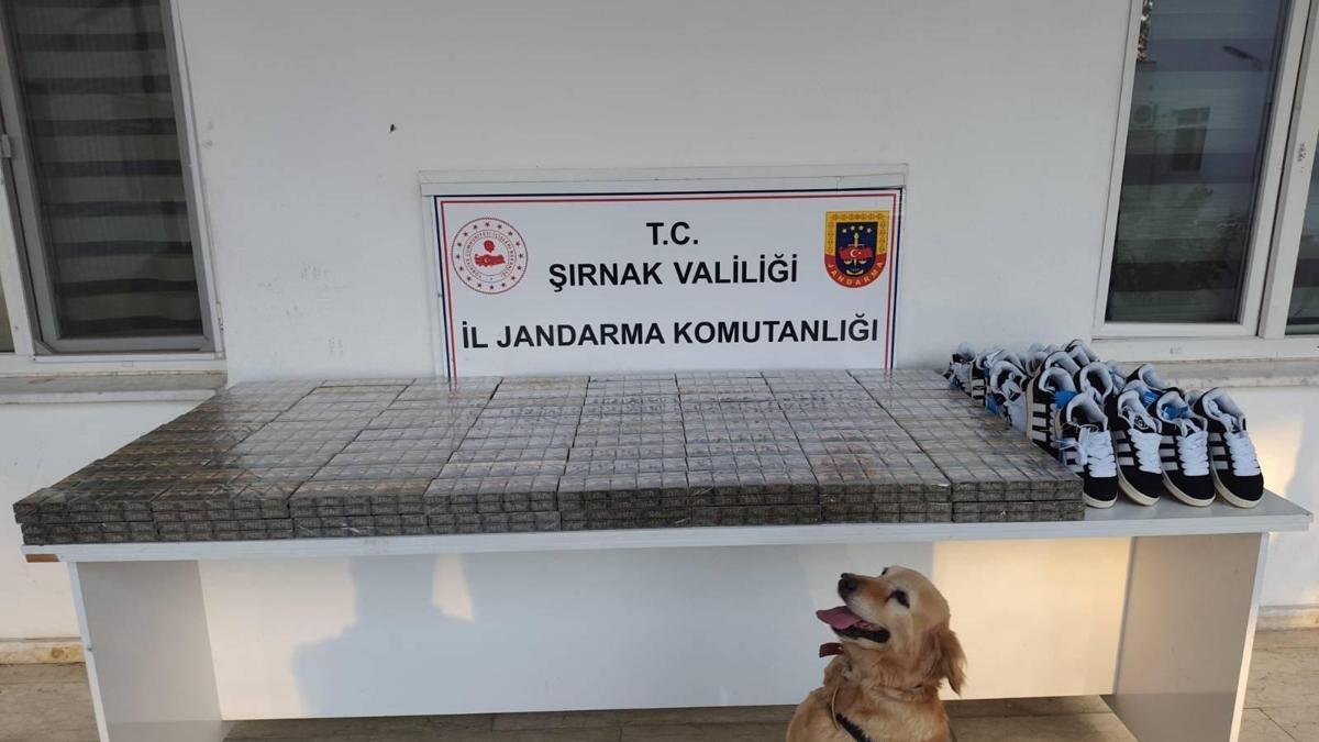 Şırnak'ta 9 milyon liralık kaçak ürün ele geçirildi