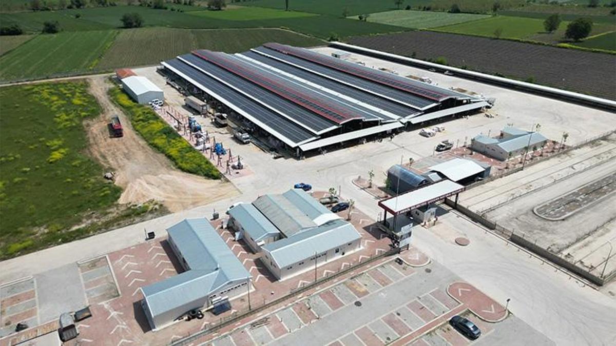 2 aylık karantina sona erdi: Perşembe günü açılıyor!