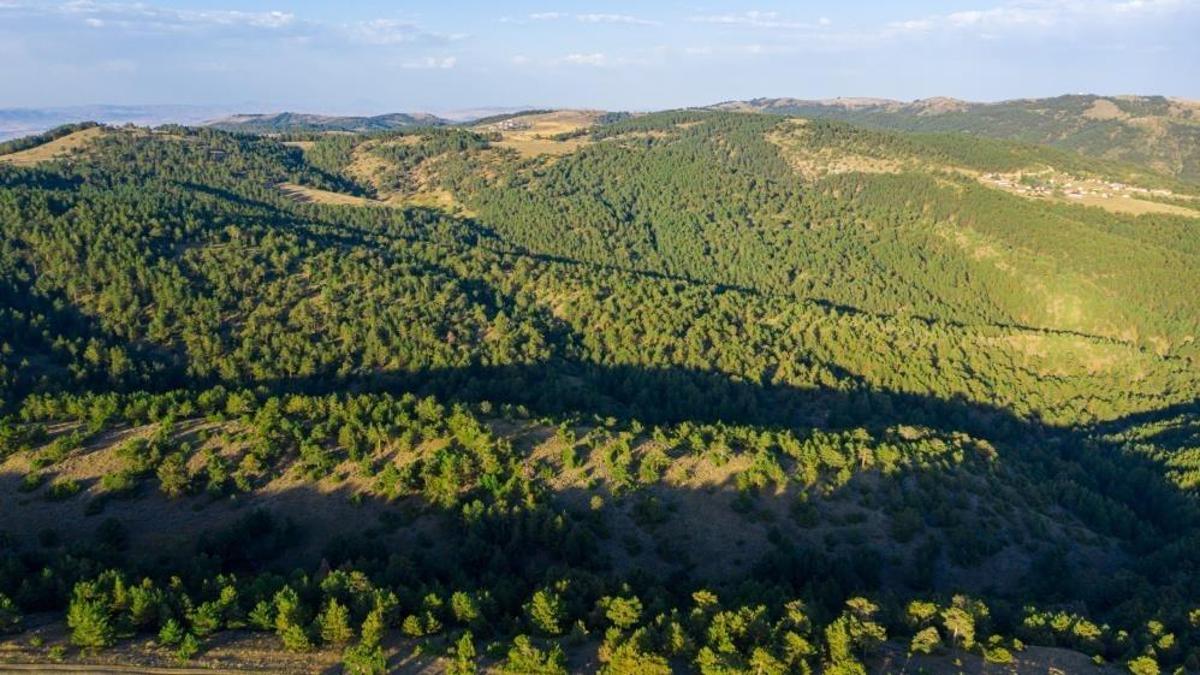 Sivas'ta yasak bugün başladı: 15 Ekim'e kadar sürecek