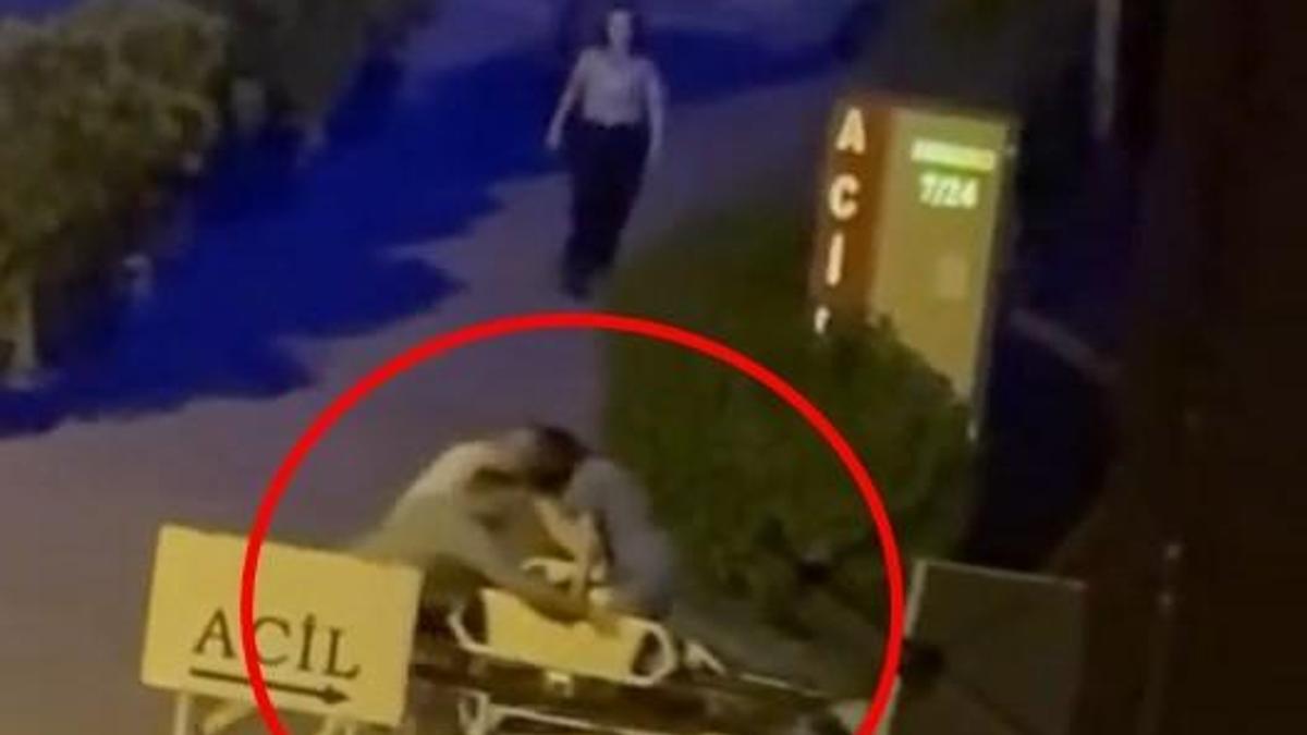 Otomobilin çarptığı yayanın duran kalbi, kalp masajıyla yeniden çalıştırıldı