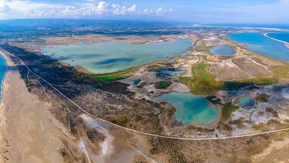 Mersin Silifke'de Deniz Kaplumbağaları Koruma Alanına İhlal edenlere rekor ceza!