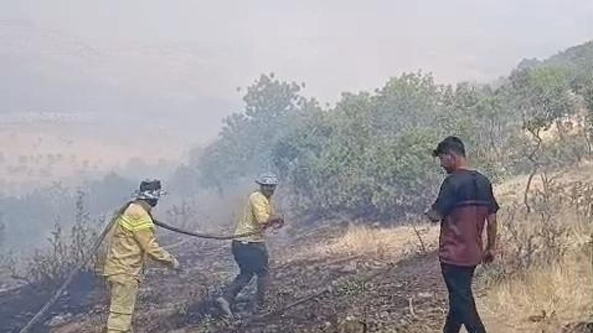 Siirt’te örtü yangını; 60 dönüm zarar gördü