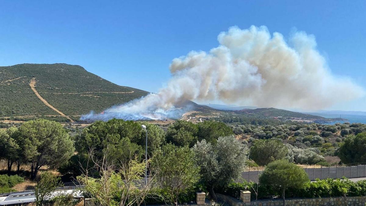 İzmir Foça'da orman yangını