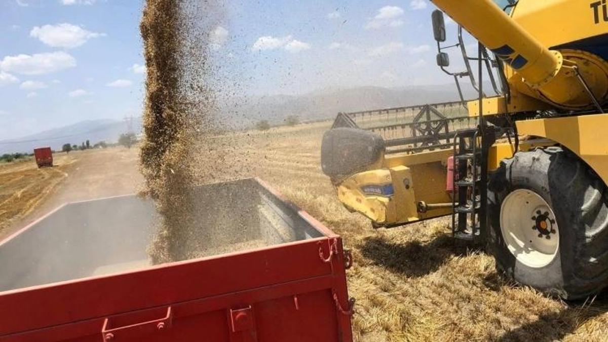 17 Bin TL’yi Gördü! Şanlıurfa Zahire Pazarı’nda Buğday Fiyatları Şaşırttı
