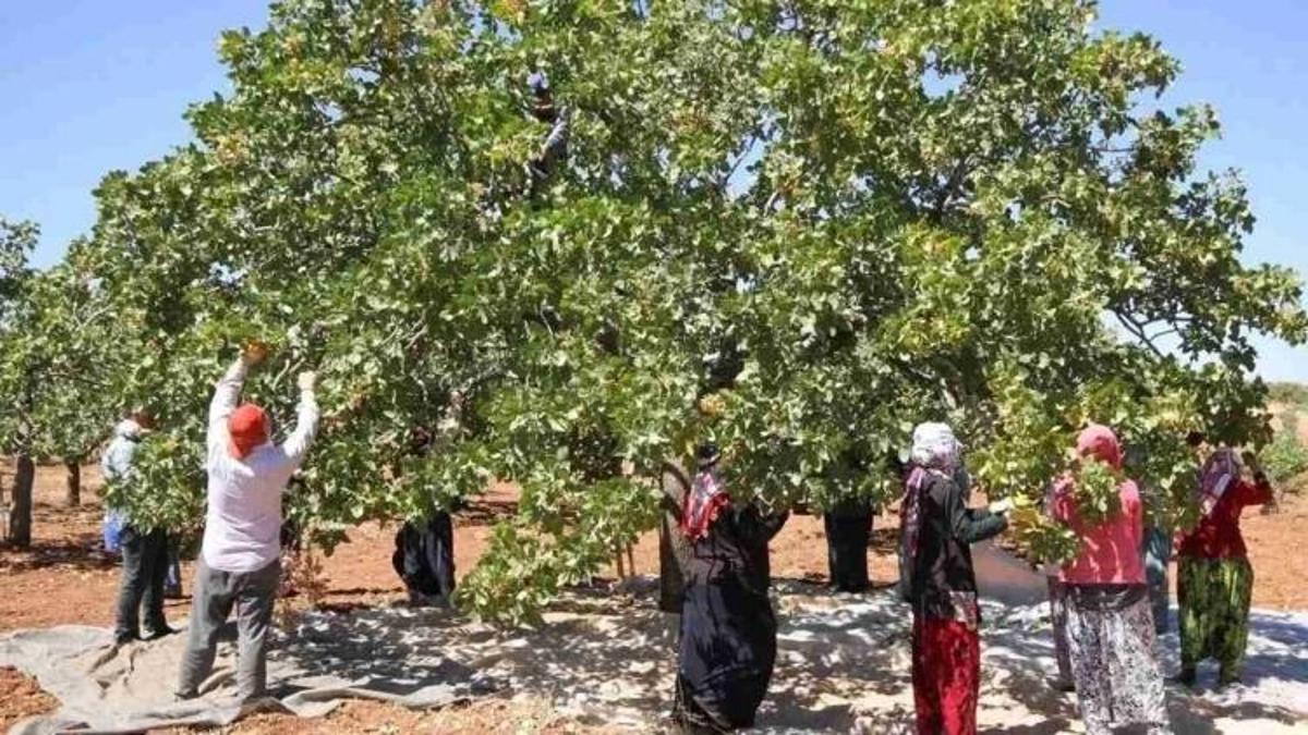 Binlerce işçiyi ilgilendiriyor: Günlük ücret belli oldu