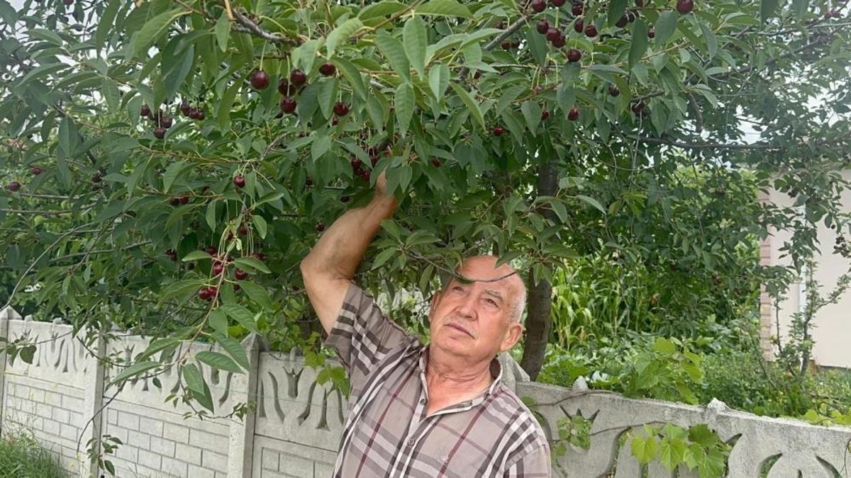 Stok azlığı ve yüksek aroma tercihi değerli yaptı! Fiyatlar kısa sürede 60 liradan 100 liraya çıkacak