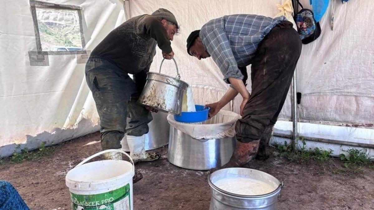 Yaylalarda başlayan emek, Erzincan tulum peyniri olarak sofralara ulaşıyor