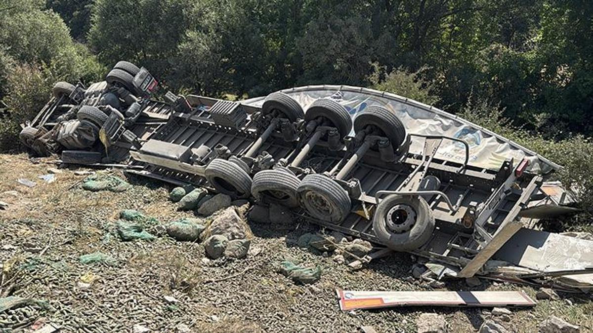 Köpeğe çarpmamak için manevra yapan tır uçuruma devrildi
