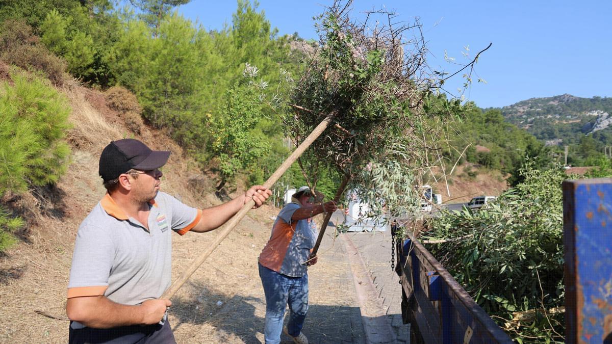 Marmaris'te yangın riskine karşı kapsamlı temizlik