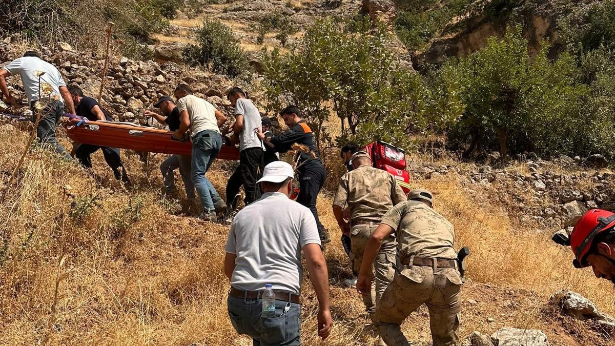 Ağaçtan düşen kişi, ekiplerin 1 saatlik sedyeli çalışmasıyla ambulansa ulaştırıldı