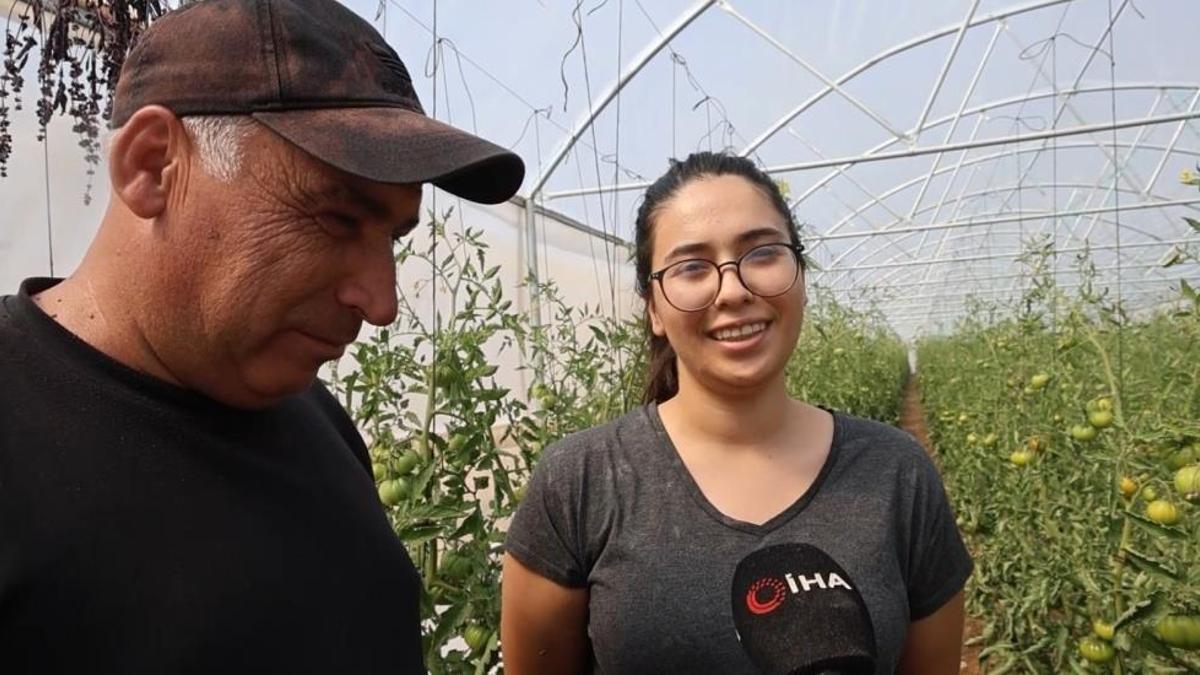Adanalı baba-kız bin 500 rakımda sera kurdu! Şimdi tonlarca ürün alacaklar