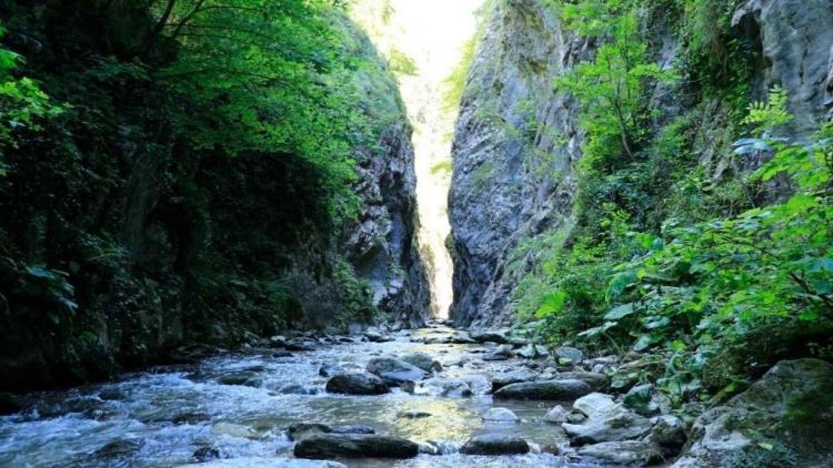 Kocaeli'nin yeni kaçış noktası: Sıcaktan bunalan oraya koşuyor