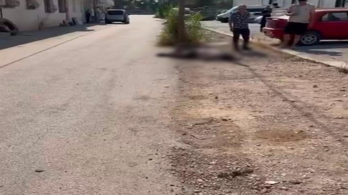 Eşi ve eniştesini tabancayla öldüren şüpheli tutuklandı