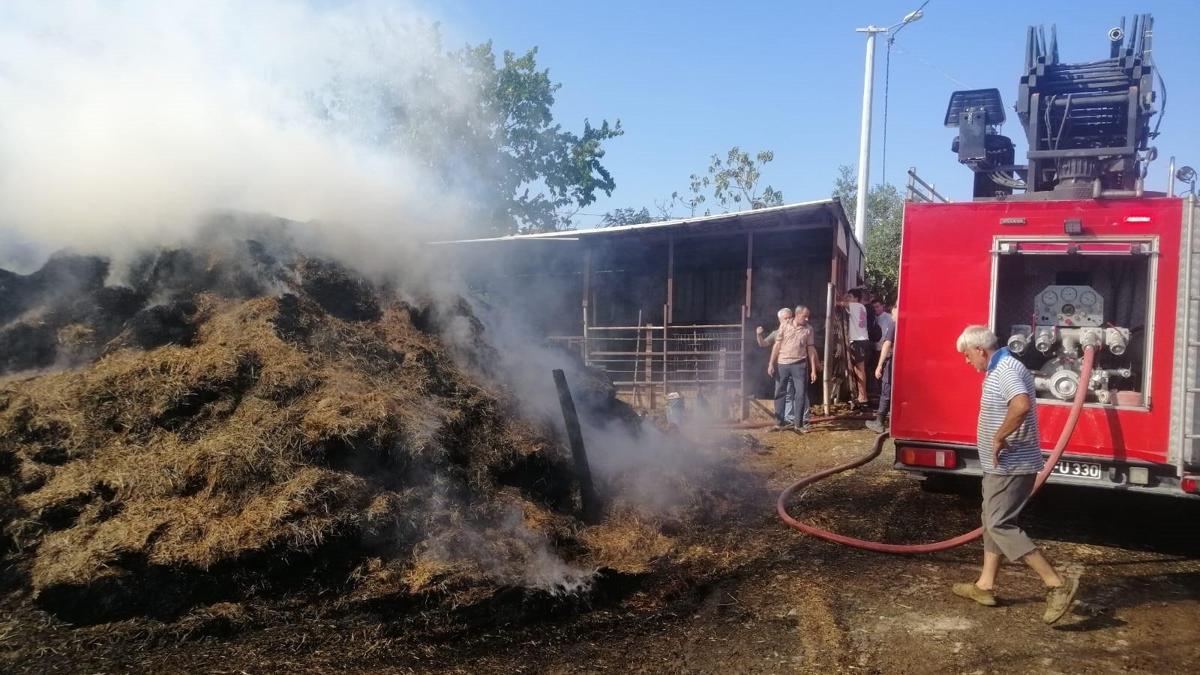 Edirne’de 500 saman balyası yandı