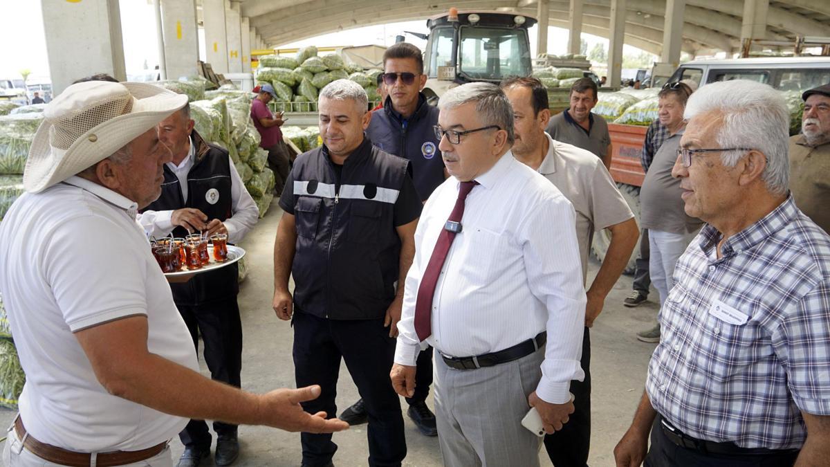 Şuhut'tan günde 500 ton taze fasulye sevkiyatı
