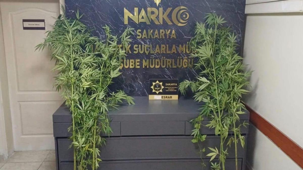 Sakarya’da uyuşturucu operasyonu; 1 tutuklama