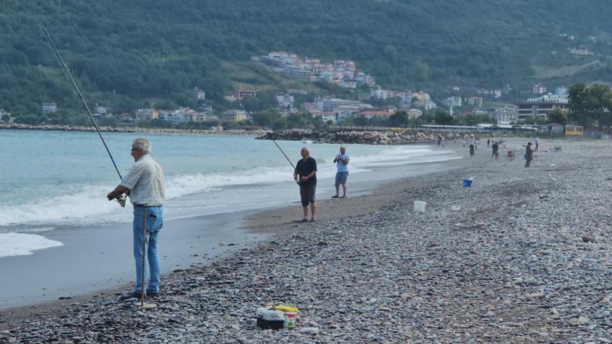 Karadeniz'de balık bolluğu yaşanıyor! Oltasını kapan denize koştu